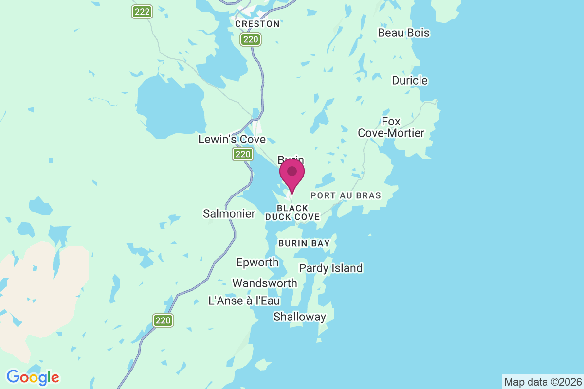 Burin Bay Arm map