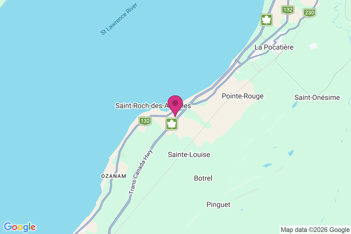 Village-des-Aulnaies map
