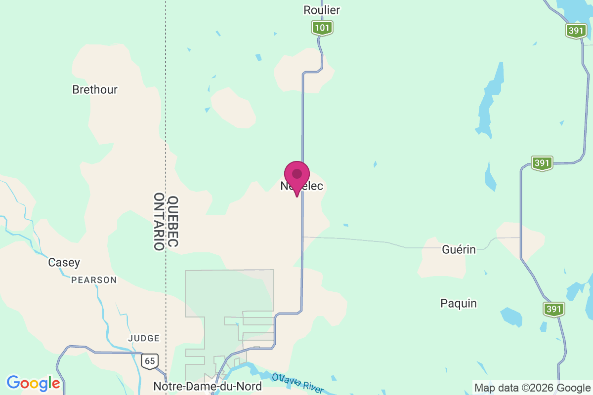 Nedelec map