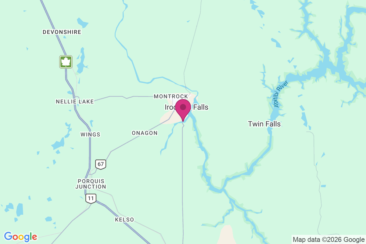 Ansonville map