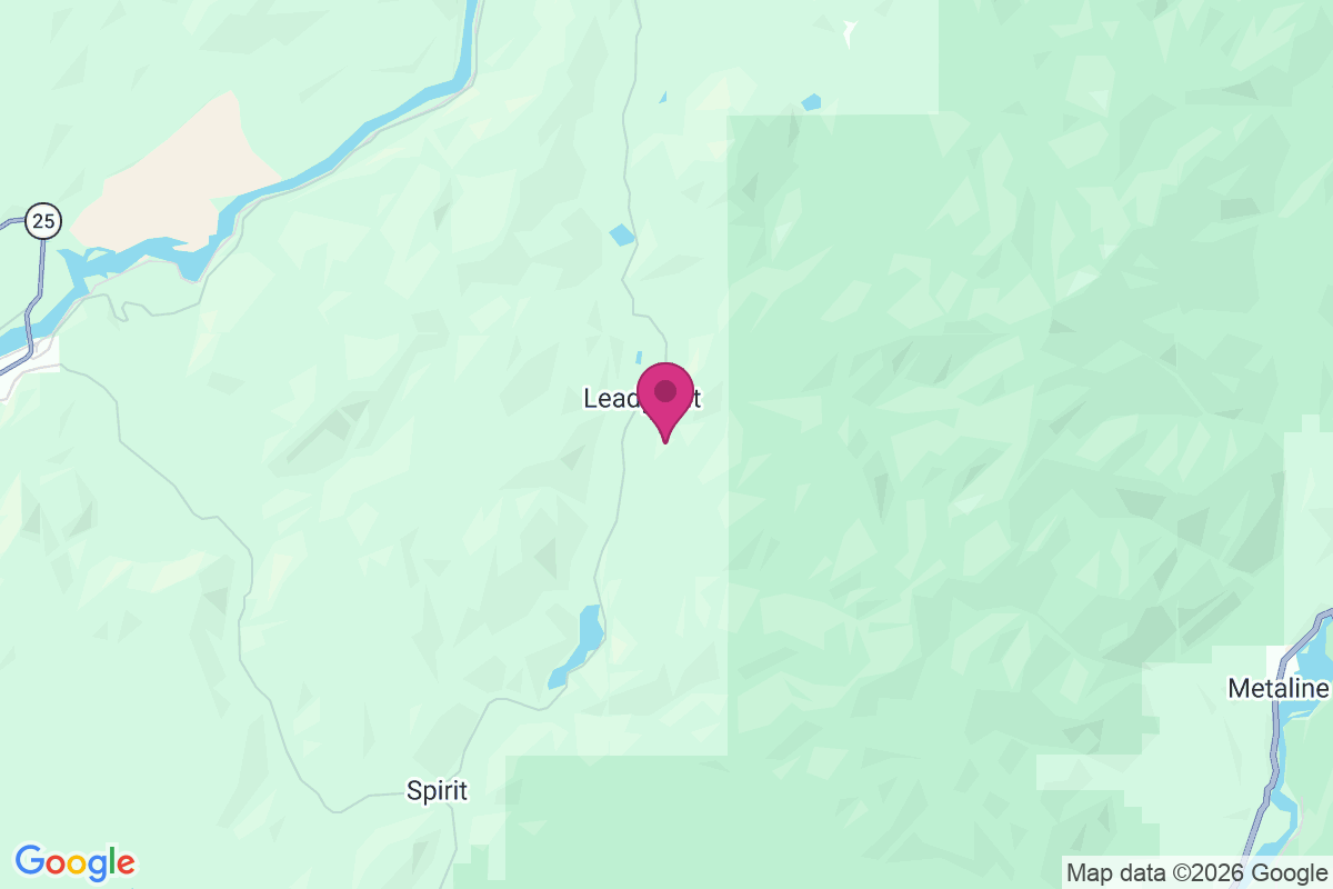 Leadpoint map