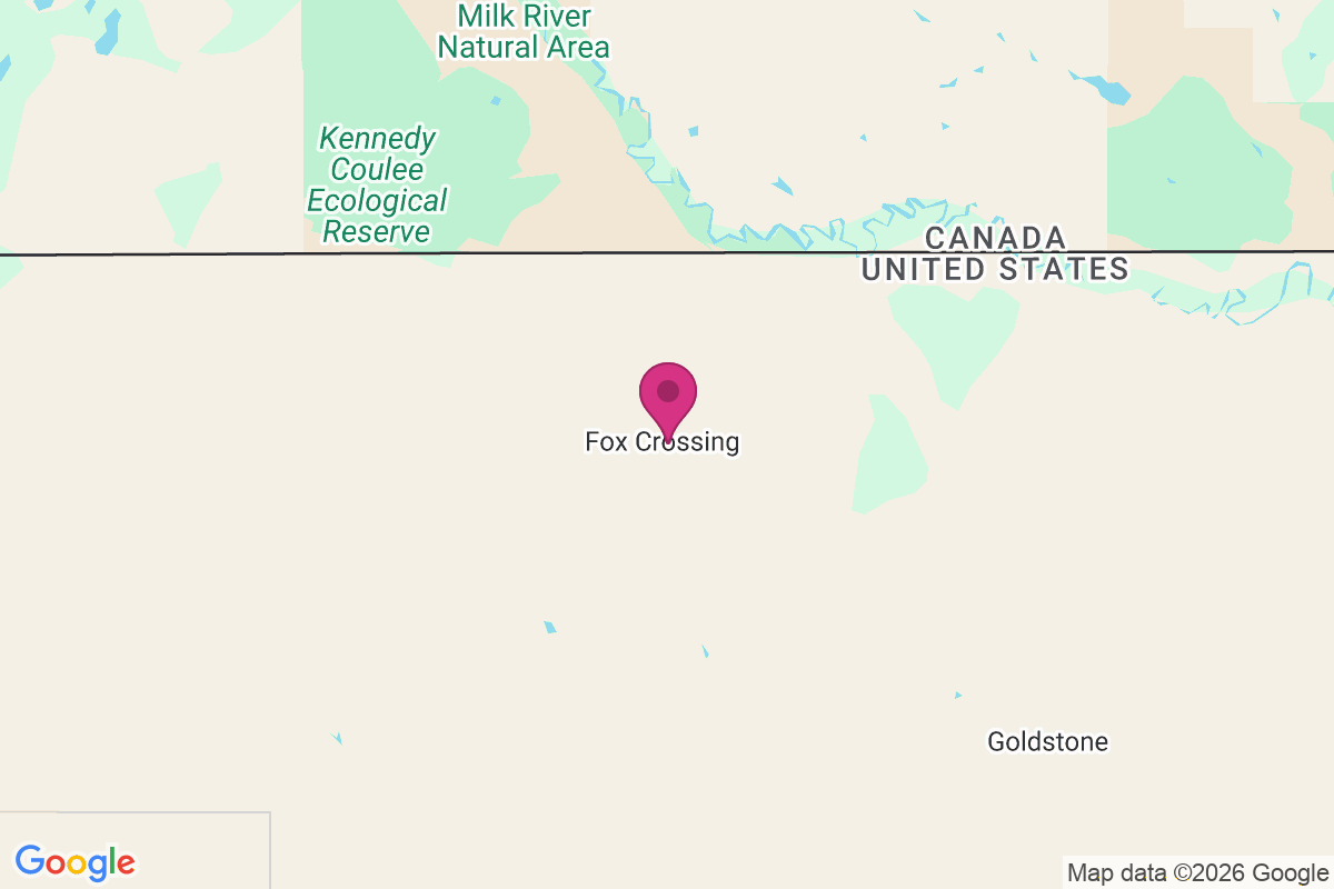 Fox Crossing map