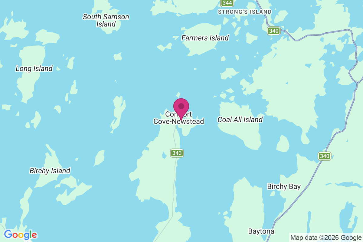 Comfort Cove-newstead map