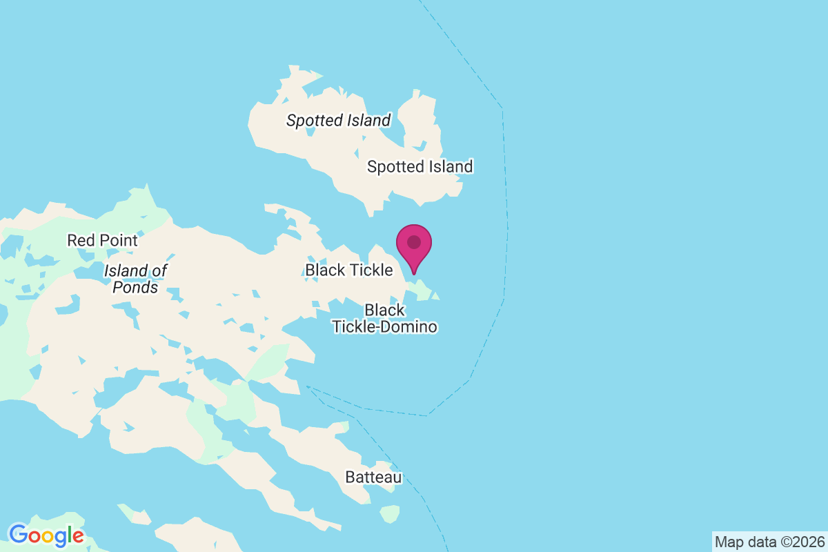 Black Tickle map