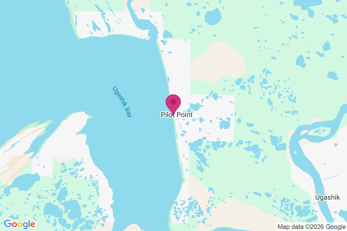 Pilot Point map