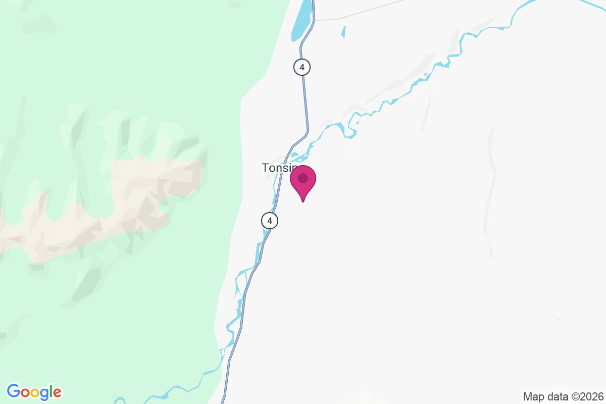 Tonsina map