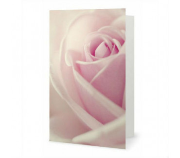 The Rose greeting card