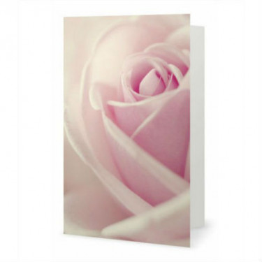 The Rose greeting card