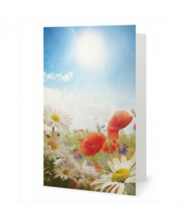 Field Flowers greeting card