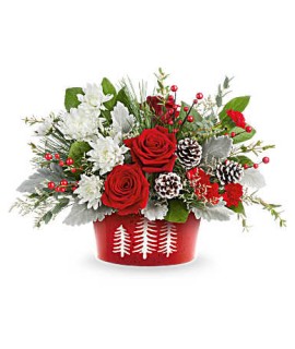 Snowy Pines Centerpiece