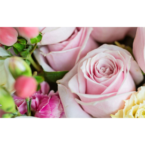 Best lowcost flowers delivery ·